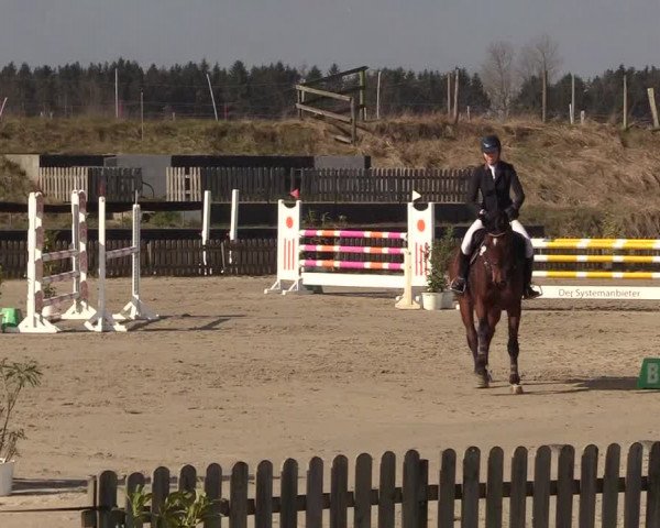 Reitturnier Schülp / Rendsburg 2022