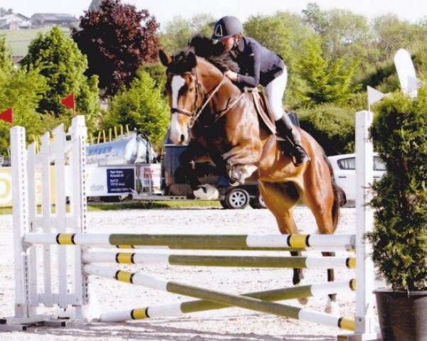 jumper Pracy des Baumes CH (Swiss Warmblood, 2008, from Landjuweel St Hubert)