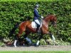 dressage horse Souy (Westphalian, 2009, from Show Star)