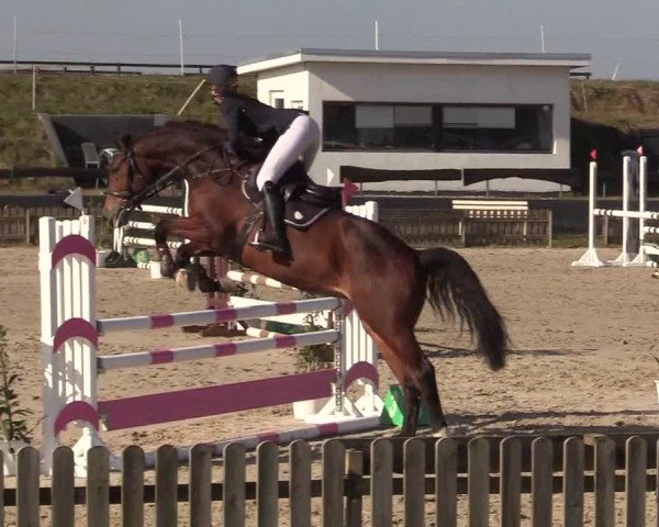 Reitturnier Schülp / Rendsburg 2022