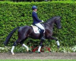 dressage horse Lynnea B (Westphalian, 2009, from Lord Loxley I)