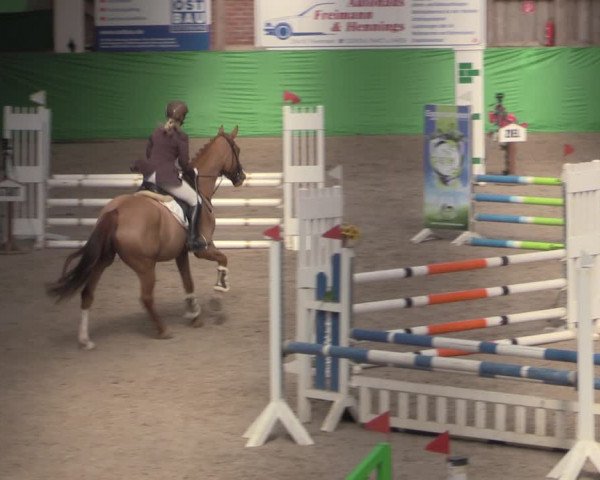 Reitturnier Krumke 2022