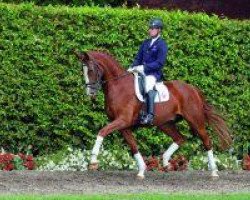 dressage horse Landus 9 (Westphalian, 2007, from Lord Loxley I)