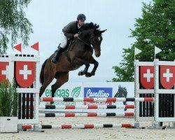 Springpferd Loxana CH (Schweizer Warmblut, 2006, von Loxy de La Reselle CH)