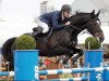 stallion Loxy de La Reselle CH (Swiss Warmblood, 2001, from Lord Lennox)