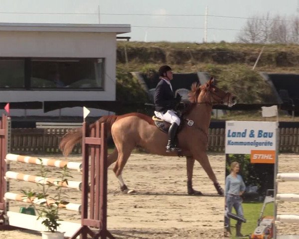 Reitturnier Schülp / Rendsburg 2022