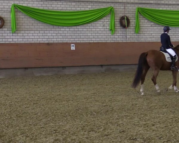 Reitturnier Hellefeld 2022