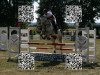 Springpferd Quinaro van't Gestelhof (Belgisches Warmblut, 2008, von Turbo van het Gestelhof)