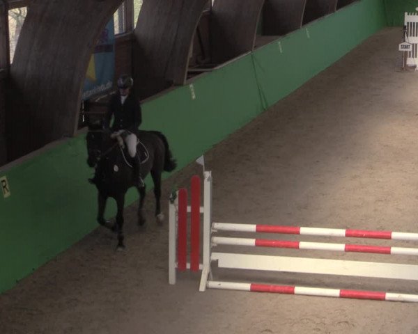 Reitturnier Krumke 2022