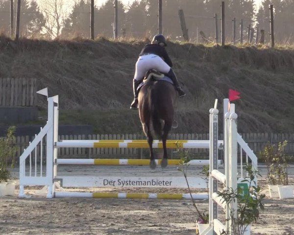 Reitturnier Schülp / Rendsburg 2022