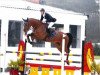 Springpferd Gucci Dv (Belgisches Warmblut, 2006, von Pkz Contact van de Heffinck)