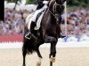 stallion Sarkozy 3 (Hanoverian, 2005, from Sandro Hit)