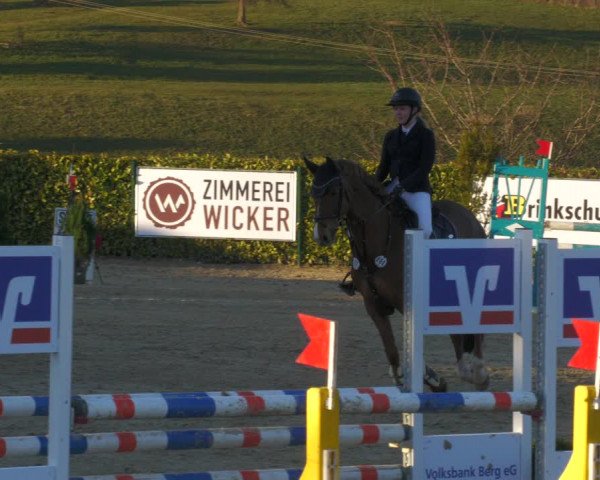 Reitturnier Lindlar-Süttenbach 2022
