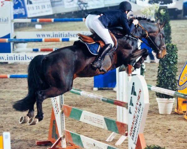 stallion Edjaz van T Merelsnest (Belgian Warmblood, 2004, from Nabab de Rêve)