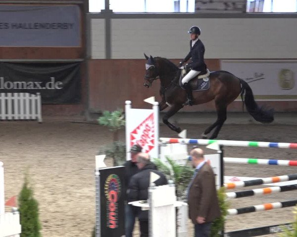 Reitturnier Grevenbroich - Gut Neuhaus 2022
