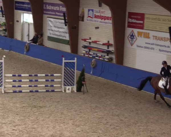 Reitturnier Sögel 2022