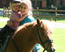 broodmare Hanna (Shetland B (about 107-117), 1999, from Holmer)