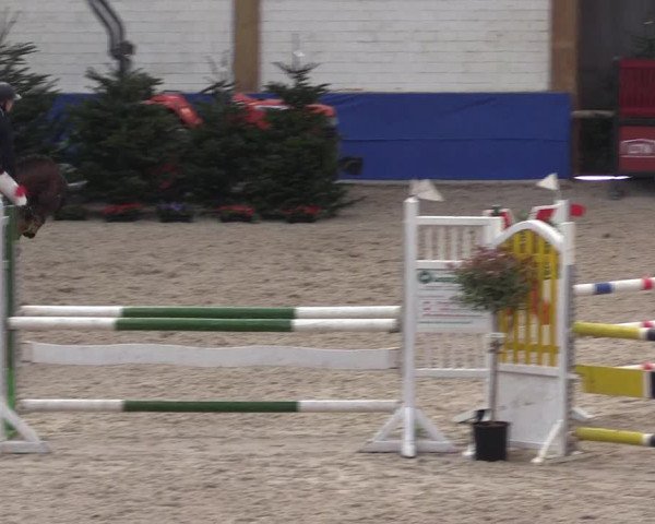 Reitturnier Sögel 2022
