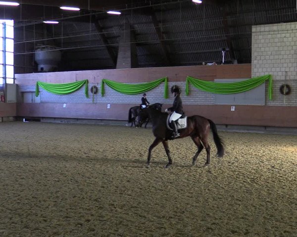 Reitturnier Hellefeld 2022