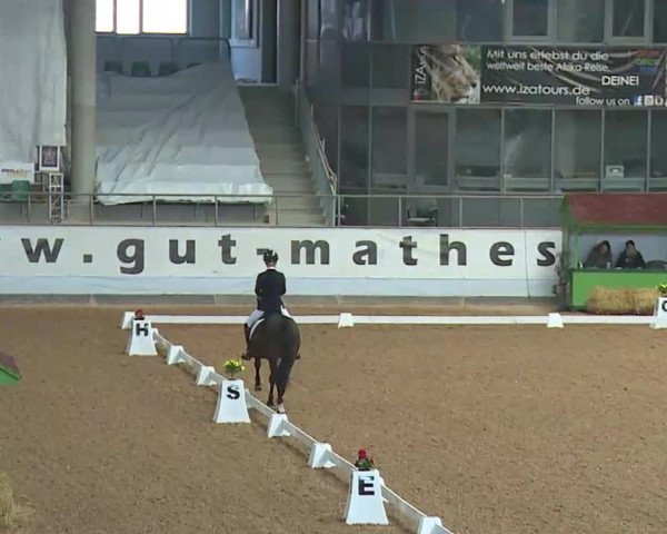 Reitturnier Kreuth/Opf. 2022