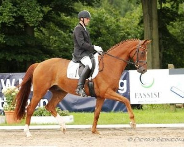 dressage horse Rochee K (Hanoverian, 2008, from Royal Blend)