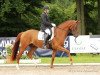 dressage horse Rochee K (Hanoverian, 2008, from Royal Blend)