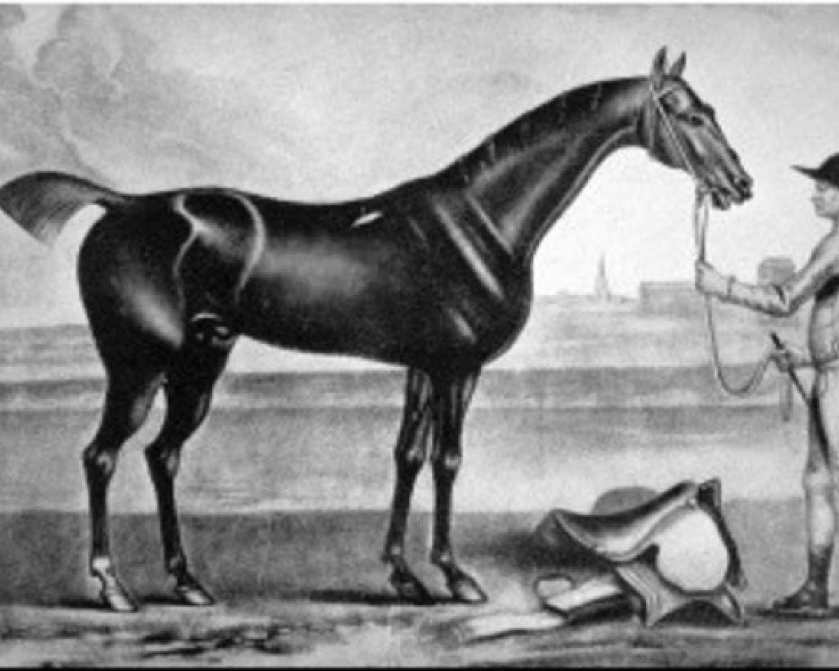 Deckhengst Bay Bolton xx (Englisches Vollblut, 1705, von Grey Hautboy xx)