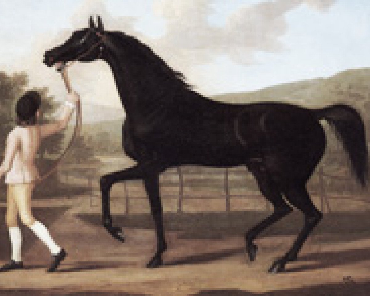 Deckhengst Oroonoko xx (Englisches Vollblut, 1745, von Crab xx)