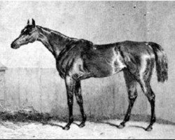 broodmare Oxygen xx (Thoroughbred, 1828, from Emilius xx)