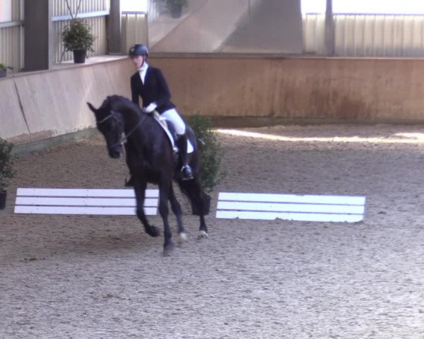 Reitturnier Ahaus 2022