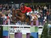 jumper Concordia 21 (Hanoverian, 1997, from Calido I)