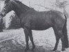 horse Fidelio (Oldenburg, 1970, from Frivol xx)