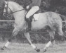 stallion Welttraum (Oldenburg, 1981, from Weltmeister)