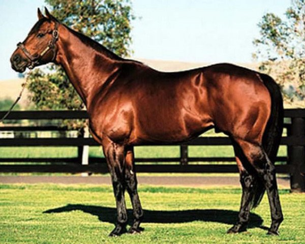 stallion End Sweep xx (Thoroughbred, 1991, from Forty Niner xx)
