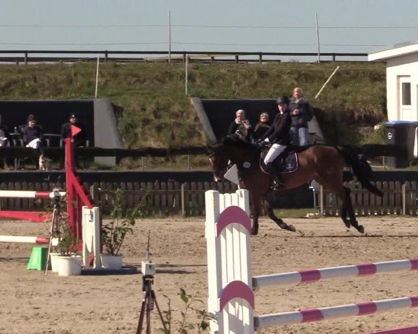 Reitturnier Schülp / Rendsburg 2022