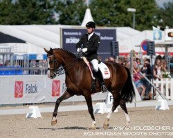 dressage horse Denigo (Oldenburg, 2001, from De Niro)