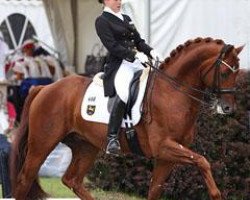 dressage horse Porsche's Eloy (Hanoverian, 2004, from Earl)