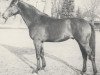 stallion Maitanz xx (Thoroughbred, 1968, from Thiudar xx)