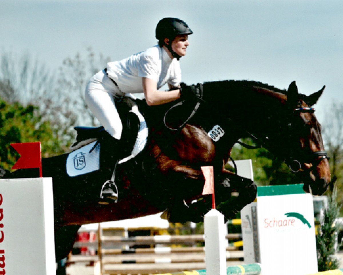 broodmare Wicklow H (Holsteiner, 2006, from Landos)