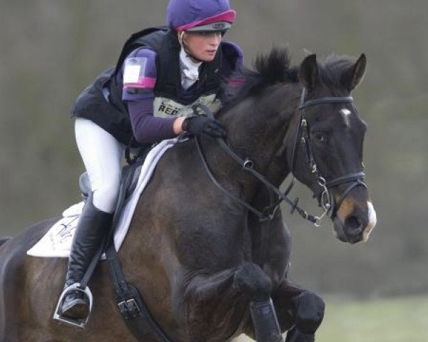 dressage horse Mr Hiho (Dutch Warmblood, 2004, from San remo)