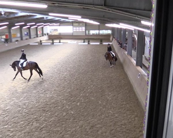 Reitturnier Ahaus 2022