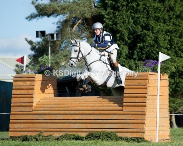 jumper Pioneer Silvie (KWPN (Royal Dutch Sporthorse), 2002, from Tangelo van de Zuuthoeve)