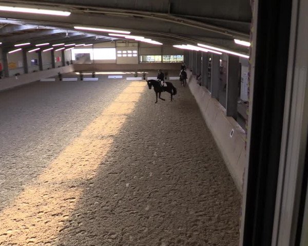 Reitturnier Ahaus 2022
