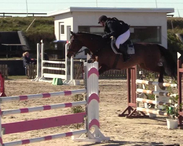 Reitturnier Schülp / Rendsburg 2022