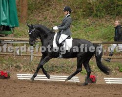 dressage horse Rouphia (Oldenburg, 1998, from Rosenkavalier)