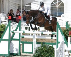 horse Luciano FHP (Hessian Warmblood, 1994, from Landadel)