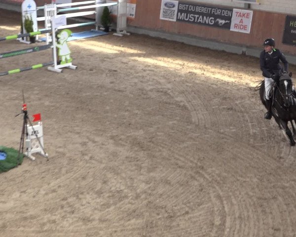 Reitturnier Grevenbroich - Gut Neuhaus 2022
