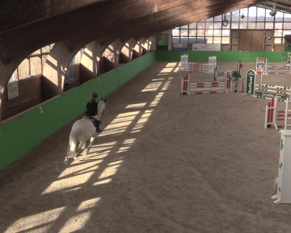 Reitturnier Krumke 2022
