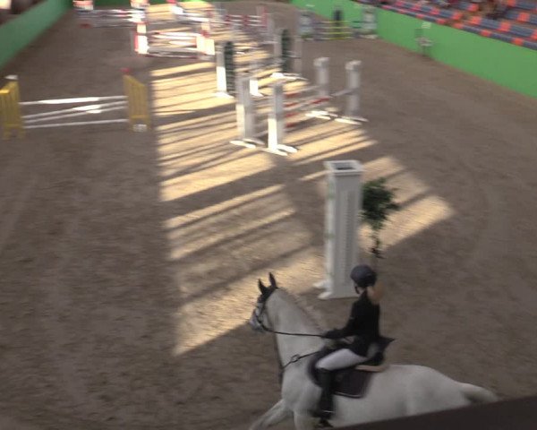 Reitturnier Krumke 2022