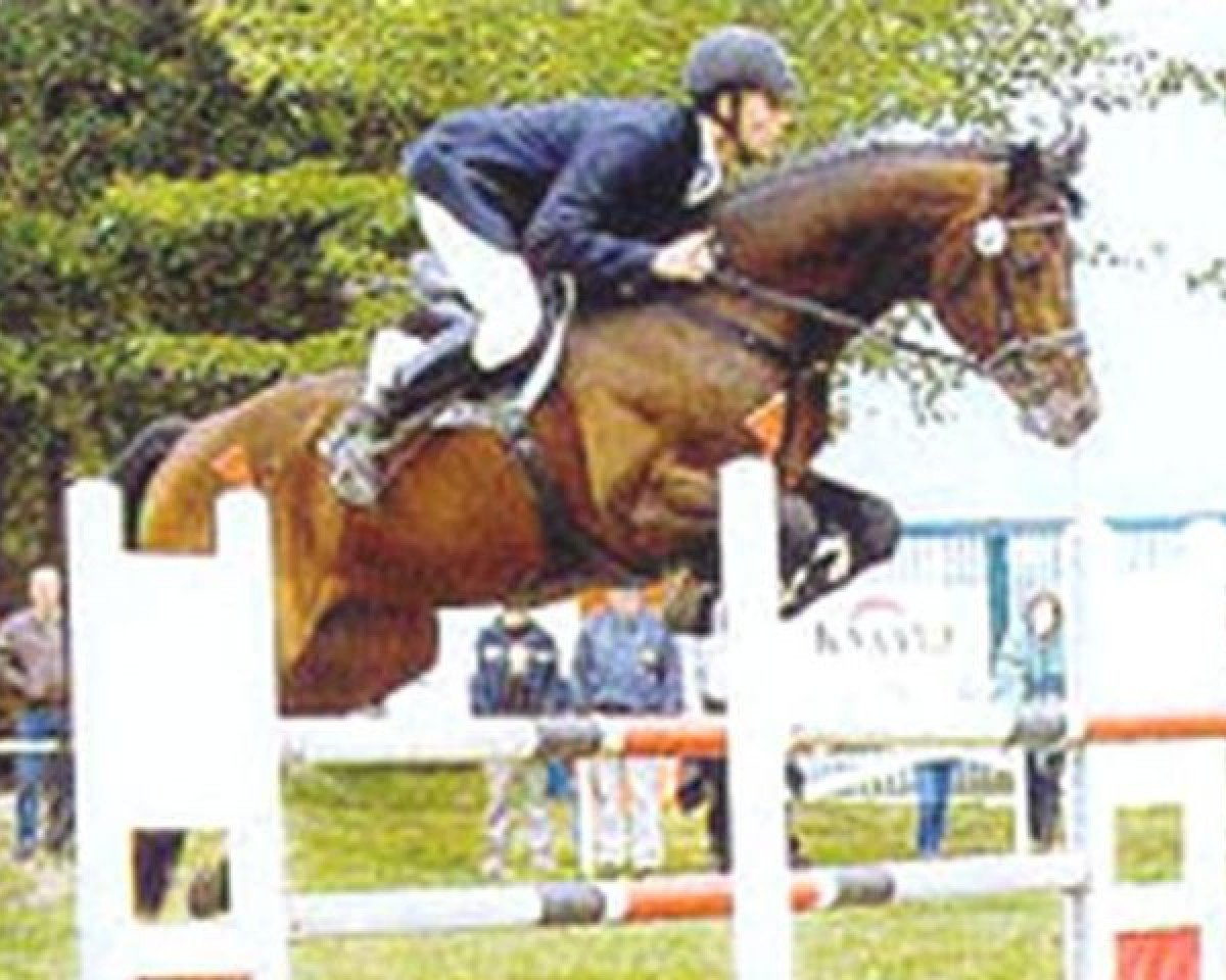 Deckhengst Lafitte (Bayer, 1992, von Landsberg)